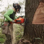 Chainsaw Husqvarna 592 XP - Image 2