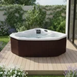 Lifesmart Spas Lifesmart Spas LS300 Plus 110 Volt 2-Person 17-Jet Plug and Play Hot Tub with Ozonator