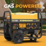 FIRMAN 4550/3650 Watt 30A 120/240V Recoil Start Gas Portable Generator - Image 2