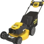 DeWalt 196cc E-gov RWD MySpeed Gas Mower