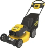 DeWalt 196cc E-gov RWD MySpeed Gas Mower